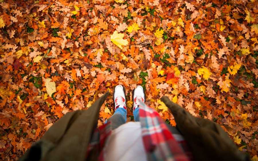 Things To Do In Canada To Celebrate Fall Things To Do In Canada To Celebrate Fall Things To Do In Canada To Celebrate Fall Things To Do In Canada To Celebrate Fall Things To Do In Canada To Celebrate Fall Things To Do In Canada To Celebrate Fall Things To Do In Canada To Celebrate Fall Things To Do In Canada To Celebrate Fall Things To Do In Canada To Celebrate Fall Things To Do In Canada To Celebrate Fall Things To Do In Canada To Celebrate Fall Things To Do In Canada To Celebrate Fall