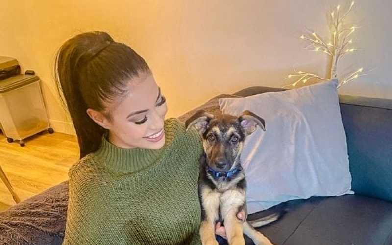 Rent Pet Friendly Apartments Montreal 1 38737eb4