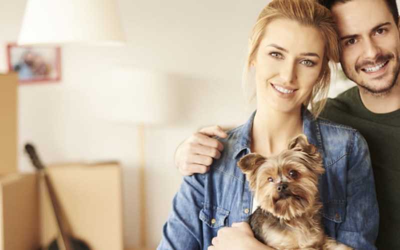 things to do before moving your pet xudteE au 1 493664b1