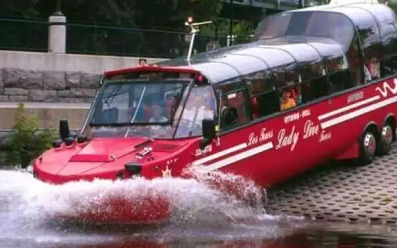 Lady Dive 1 65b7f91e