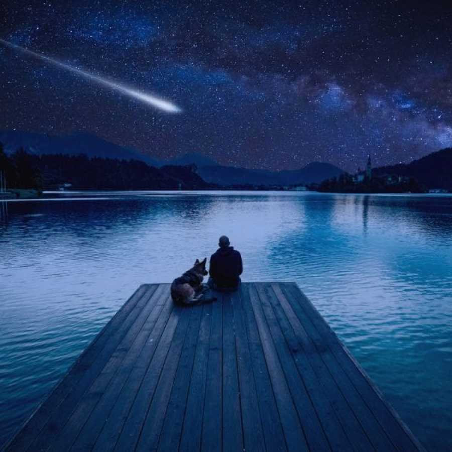 Prepare Your Wishes Because Thousands Of Shooting Stars Takeover The Sky This Week Prepare Your Wishes Because Thousands Of Shooting Stars Takeover The Sky This Week Prepare Your Wishes Because Thousands Of Shooting Stars Takeover The Sky This Week Prepare Your Wishes Because Thousands Of Shooting Stars Takeover The Sky This Week Prepare Your Wishes Because Thousands Of Shooting Stars Takeover The Sky This Week Prepare Your Wishes Because Thousands Of Shooting Stars Takeover The Sky This Week Prepare Your Wishes Because Thousands Of Shooting Stars Takeover The Sky This Week Prepare Your Wishes Because Thousands Of Shooting Stars Takeover The Sky This Week Prepare Your Wishes Because Thousands Of Shooting Stars Takeover The Sky This Week Prepare Your Wishes Because Thousands Of Shooting Stars Takeover The Sky This Week Prepare Your Wishes Because Thousands Of Shooting Stars Takeover The Sky This Week Prepare Your Wishes Because Thousands Of Shooting Stars Takeover The Sky This Week