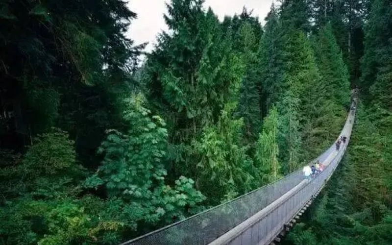 Top Attractions Vancouver 3 8da2c616