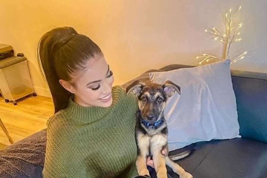 pet friendly rentals pet friendly rentals pet friendly rentals pet friendly rentals pet friendly rentals pet friendly rentals pet friendly rentals pet friendly rentals pet friendly rentals pet friendly rentals pet friendly rentals pet friendly rentals pet friendly rentals pet friendly rentals pet friendly rentals