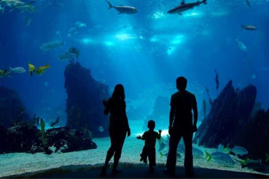 Indoor Activities in Vancouver from Our Downtown Rentals Indoor Activities in Vancouver from Our Downtown Rentals Indoor Activities in Vancouver from Our Downtown Rentals Indoor Activities in Vancouver from Our Downtown Rentals Indoor Activities in Vancouver from Our Downtown Rentals Indoor Activities in Vancouver from Our Downtown Rentals Indoor Activities in Vancouver from Our Downtown Rentals Indoor Activities in Vancouver from Our Downtown Rentals Indoor Activities in Vancouver from Our Downtown Rentals Indoor Activities in Vancouver from Our Downtown Rentals Indoor Activities in Vancouver from Our Downtown Rentals Indoor Activities in Vancouver from Our Downtown Rentals