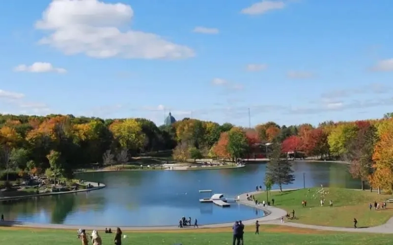 Montreal Full Day Small Group City Tour c553f2ae