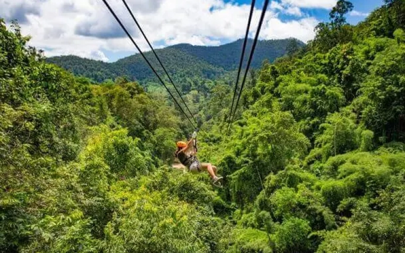 Zipline adventure e37a0d3b