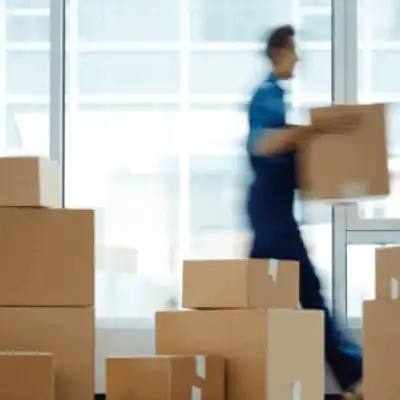 bussiness 2 ed5a52bc