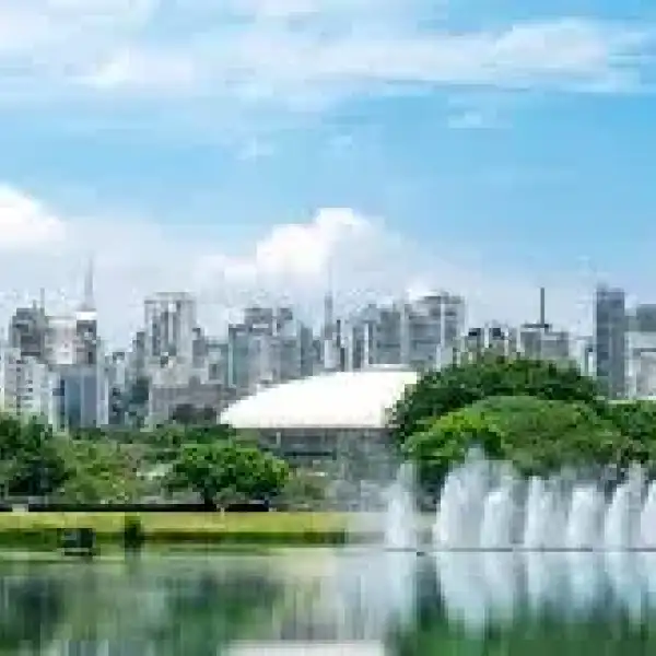 Sao Paulo fcdaba25
